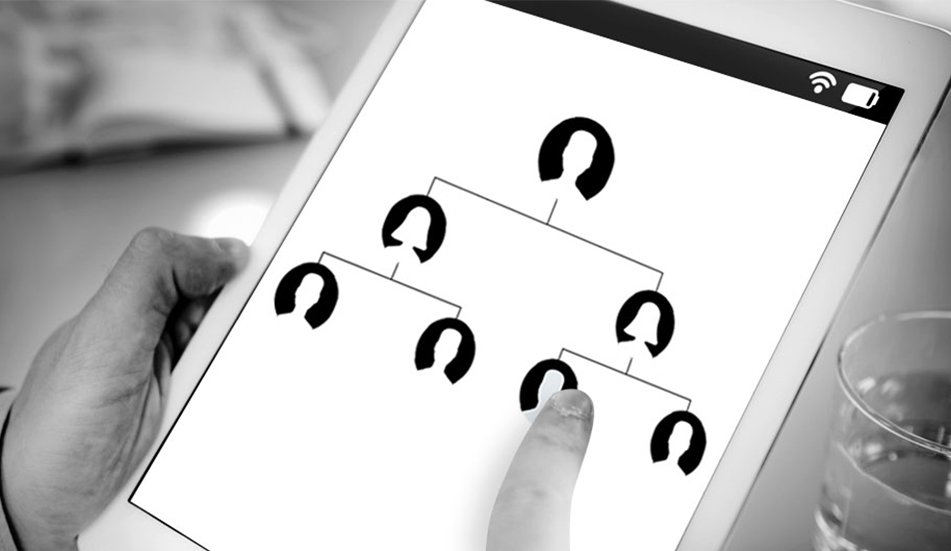 Binary MLM Software Plan