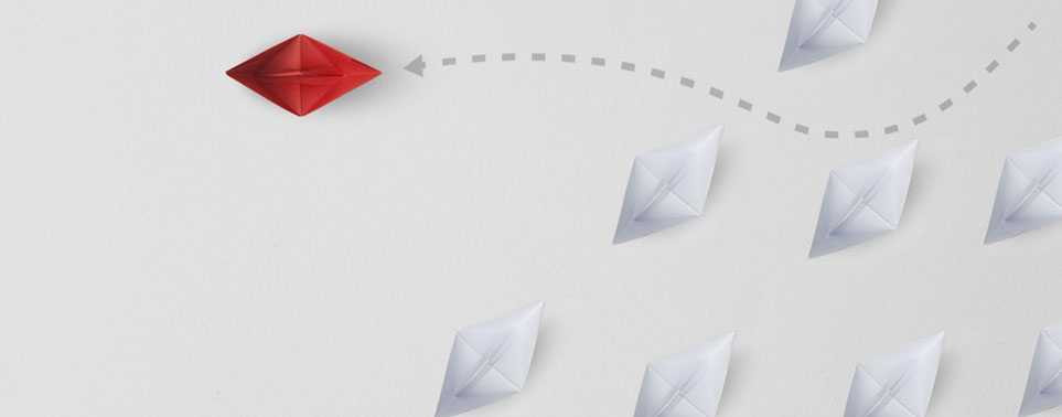 CMS web development